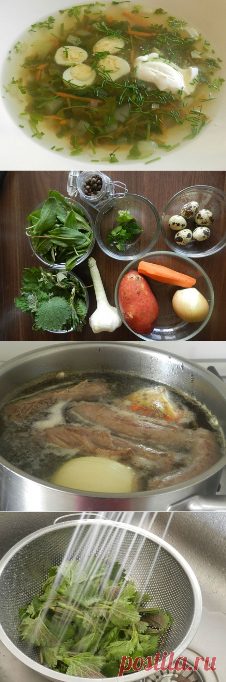 Сезонный рецепт: нежнейшие щи из крапивы и щавеля — Вкусные рецепты