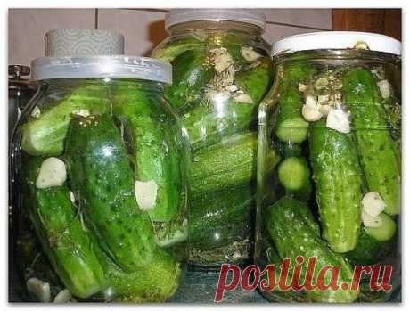 Незабываемые на вкус огурчики в "пражской" заливке
Во времена СССР за такими огурчиками приходилось перед праздниками отстаивать длинющую очередь. Поэтому я занялась поиском рецепта, чтобы такие же сделать дома. Теперь - то ли потому, что изменилась заводская технология, то ли по иным причинам - купить огурчики, подобные тем, советским, негде. Но в нашей семье такие едят до сих пор.
И вот нашла еще один вариант горячего консервирования. Годится для огурцов, помидоров, молодых кабачков, ассорти и