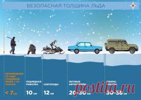 Я выживаю везде.