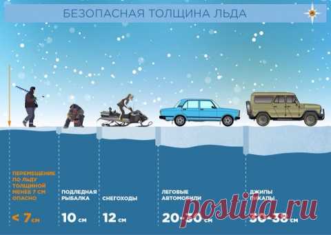 Я выживаю везде.