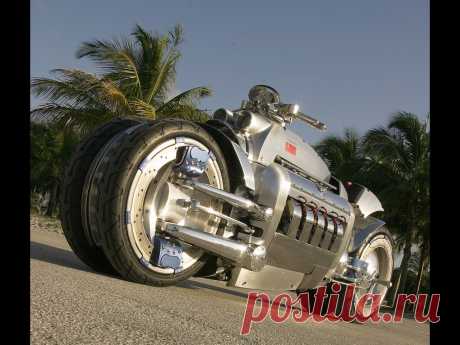 Dodge-Tomahawk-Palm-Trees-1280x960.jpg (1280×960)
