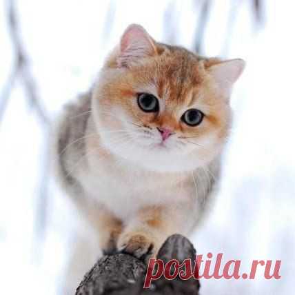 Интересные новости