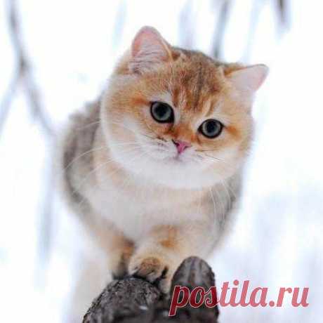 Интересные новости