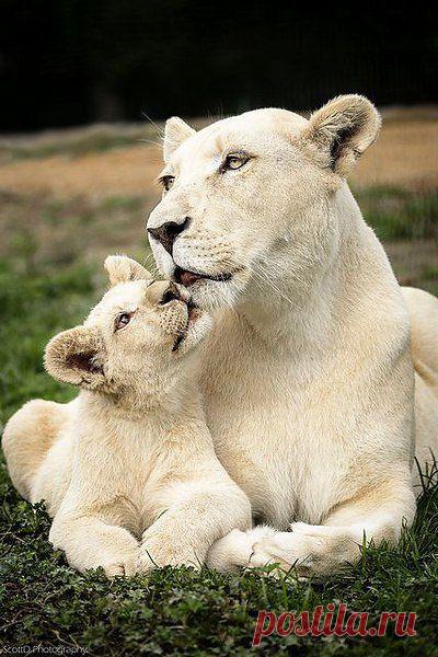 Интересные новости