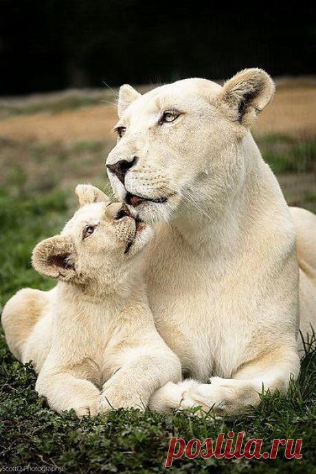 Интересные новости