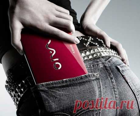 Не омрачай приятное полезным...