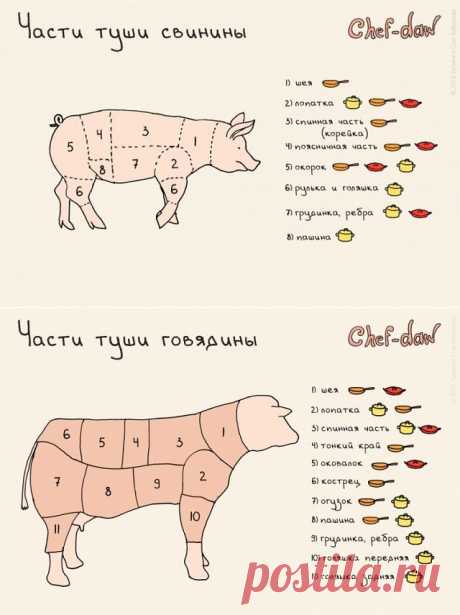 ЧАСТИ ТУШИ - СВИНИНА и ГОВЯДИНА !!!