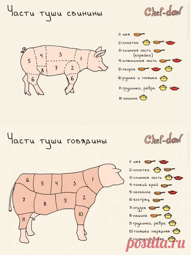 ЧАСТИ ТУШИ - СВИНИНА и ГОВЯДИНА !!!