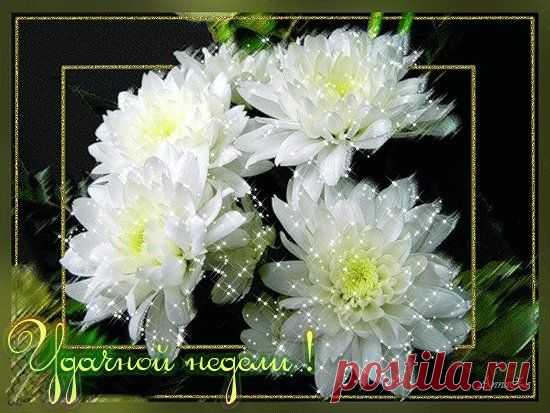 ╭დ╯СВЕТ ДУШИ╭დ╯