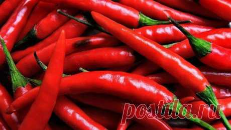 ♥Папа, мама, я - здоровая семья♥: Ноют суставы? Поможет перцовое масло!