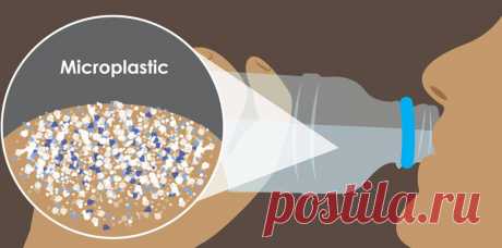 Срочно замените это! Мало кто знает как сильно ВРЕДЯТ здоровью эти 7 предметов с кухни (нашла замену на WB) | DOMEO | РЕМОНТ КВАРТИР | НЕДВИЖИМОСТЬ | Дзен