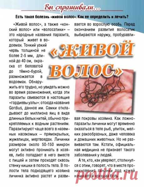 &quot;Живой волос&quot;