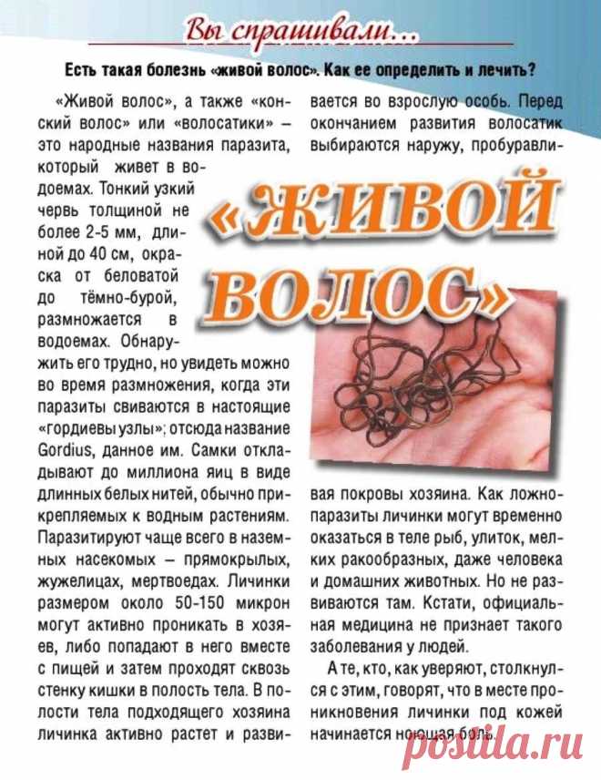 "Живой волос"