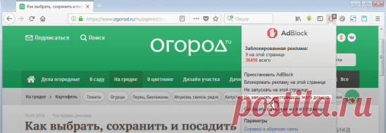 Как избавиться от муравьев на участке навсегда!