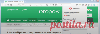 Выращивание огурцов рассадным способом – пошаговый мастер-класс с фото | Огурцы (Огород.ru)