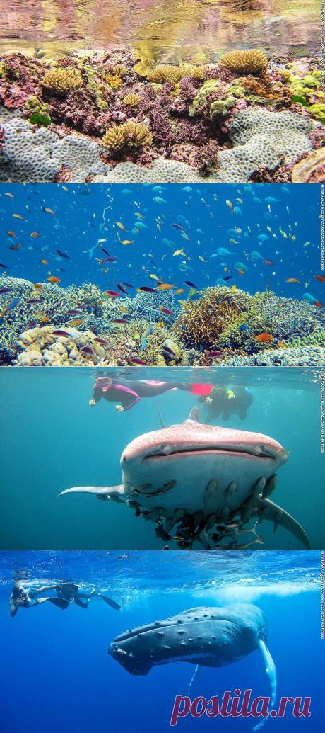 10 of the world's best snorkeling destinations