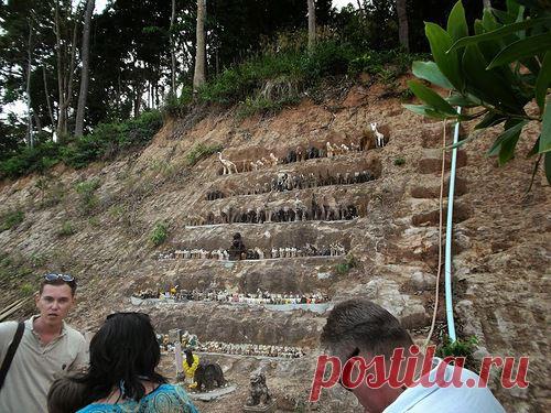 Поездка в Тайланд на остров Чанг (пляжный отдых) - liudm.se2012 — я.ру