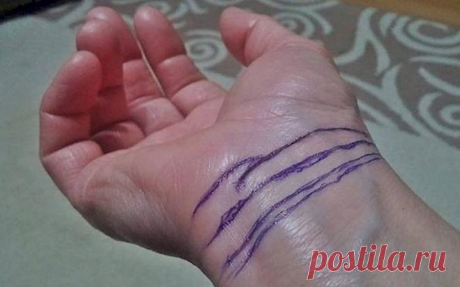 Вот что говорят о судьбе человека эти линии на запястье