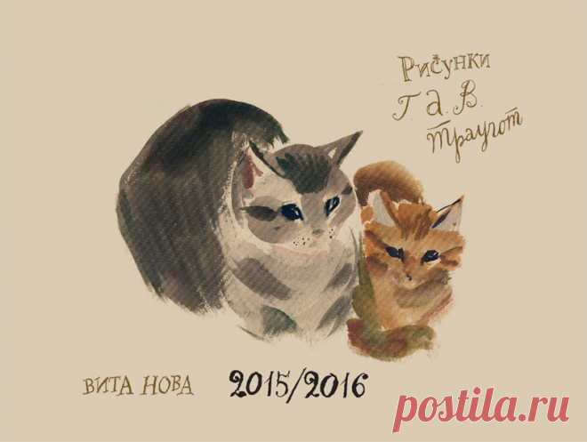Траугот - Поиск в Google