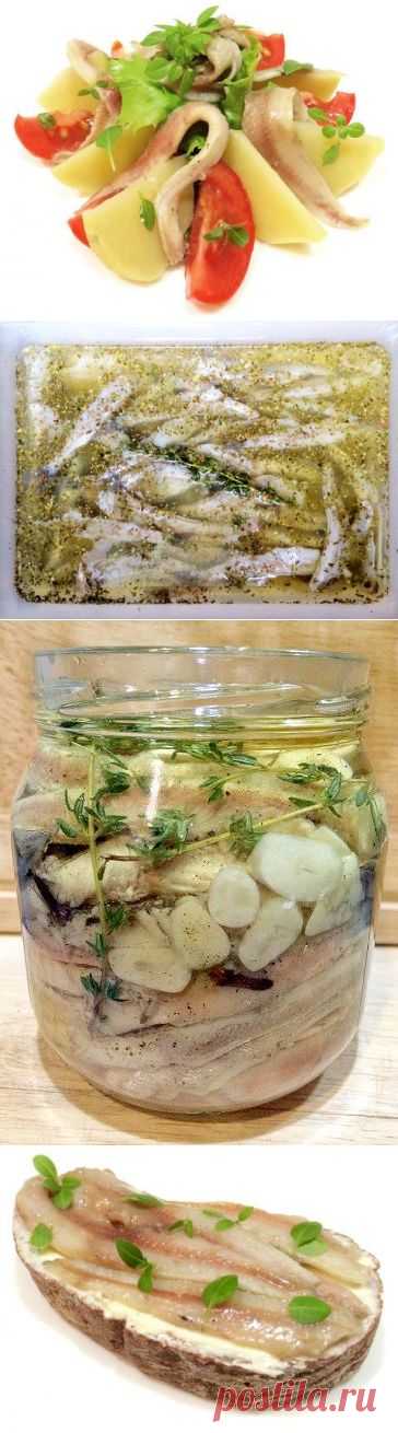 ШИКАРНЫЕ АНЧОУСЫ ИЗ ДЕШЕВОЙ МОЙВЫ | 4vkusa.ru