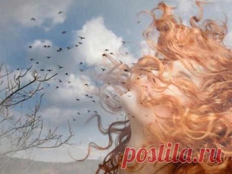 ИСТРЕПАЛАСЬ ДУША