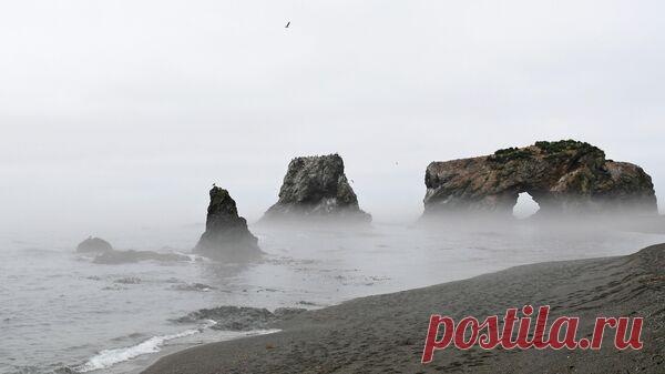 Японский ледокол возобновил операцию по вызволению танкера в Охотском море