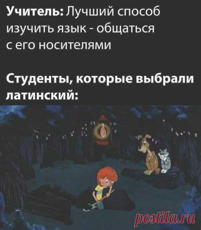 Home / Twitter