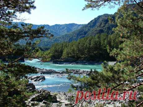 пейзажи горного алтая фото: 2 тыс изображений найдено в Яндекс.Картинках