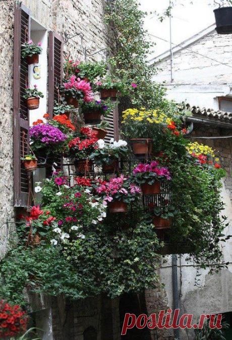 ЦВЕТОЧНЫЕ УЛОЧКИ СПЕЛЛО В ИТАЛИИ