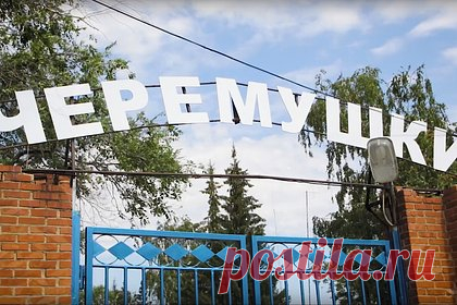Отдых в детском лагере закончился для российских детей вспышкой инфекции