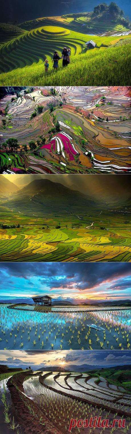 Завораживающие... рисовые террасы / Туристический спутник