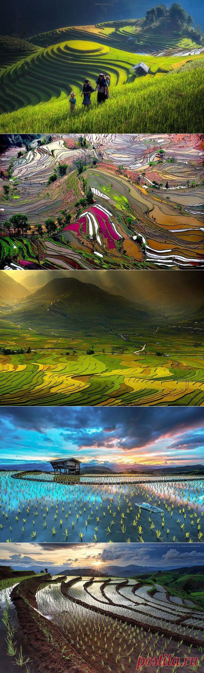 Завораживающие... рисовые террасы / Туристический спутник