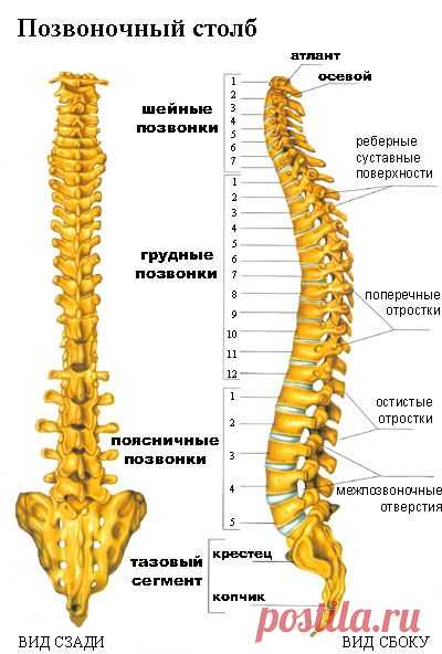 Система дистанционного обучения