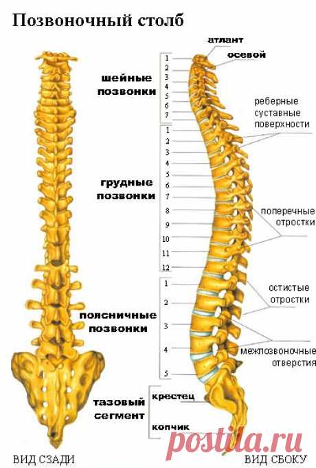 Система дистанционного обучения