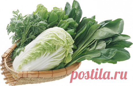 16 вкуснейших блюд, которые заставят вас полюбить овощи