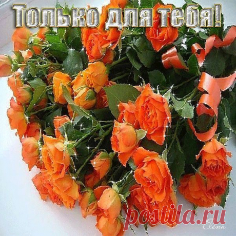em&amp;gt (600×600)