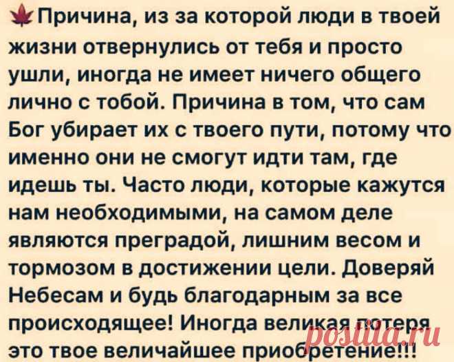 (63) Одноклассники