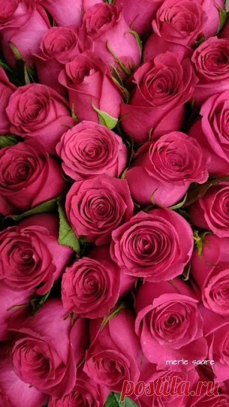 Pinterest