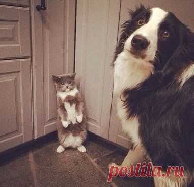 Не буду больше .