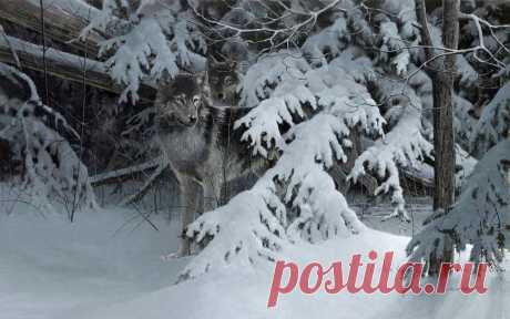 Художник Douglas R. Laird (Дуглас Лейрд). Часть 4.