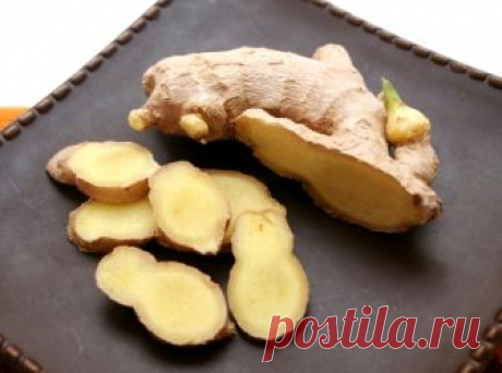 Имбирь, лекарственные свойства, рецепты | 6 соток