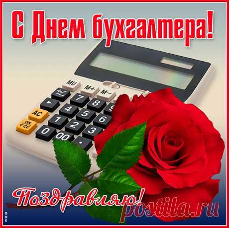 Вам беспроблемного отчётов заполнения,
И с блеском пусть сияет настроение,
И пусть у вас все будет замечательно.
С днём бухгалтера! Эта профессия так привлекательна.