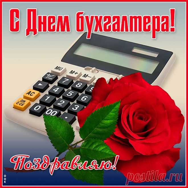 Вам беспроблемного отчётов заполнения,
И с блеском пусть сияет настроение,
И пусть у вас все будет замечательно.
С днём бухгалтера! Эта профессия так привлекательна.