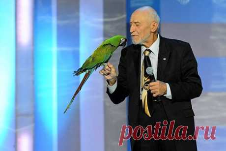 Врач назвала причину многочисленных переломов Николая Дроздова. Эндокринолог Зухра Павлова объяснила, почему 85-летний Николай Дроздов, упав с высоты своего роста, получил столько переломов. По словам врача, причиной хрупкости костей телеведущего стал его многолетний отказ от мяса. Анализы показали, что в организме Дроздова не хватало важнейших микроэлементов.