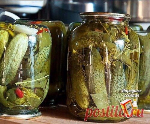 13 замечательных рецептов маринованных огурцов.
Маринованные огурцы хрустящие (способ №1)
Ингредиенты (на 1 л банку):
2 кг мелких огурчиков,
2 зубчика чеснока,
1 морковь,
1 зонтик укропа,
1 веточка петрушки,
1 ч. л. уксусной эссенции.
Для маринада:
1 л воды,
1 ст. л. соли (с горкой),
2 ст. л. сахара,
5 горошин чёрного перца,
3 листика вишни,
3 бутона гвоздики.
Приготовление:
Вымочите в воде огурцы в течение 6 часов, затем уложите в банки вместе с чесноком, морковкой, укропом и