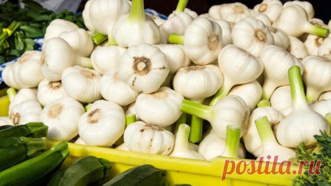 Как лучше сохранить чеснок? | Растения