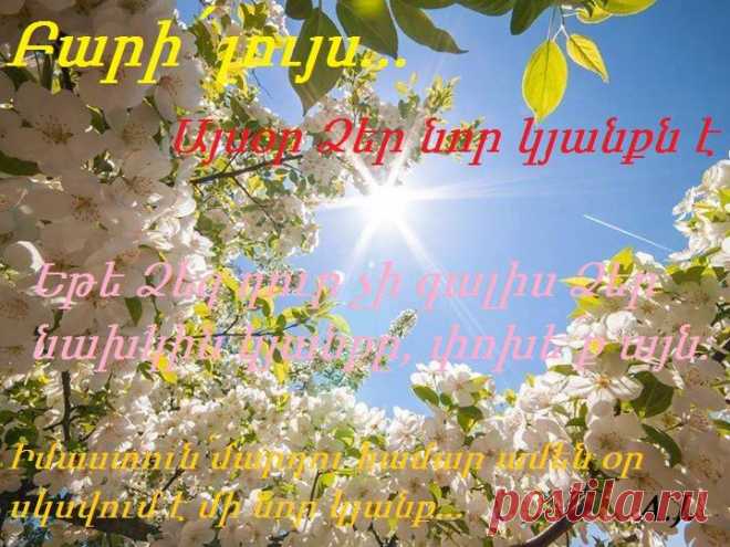 Բարի լույս բոլորին' տարվա եղանակին համապատասխան'....
Բարի լույսը բարի լուրով թող բացվի...թող բարին բերի,,,թող այս կյանքը՝ մեզ տրված նորովի նորոգի... Բարին ընդ ամենայնս: Թող որ լույսը բարի լինի համայն հայության համար: Բարին ընդ ամենայնս...