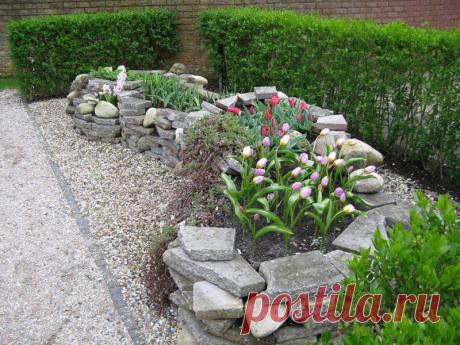 Парк тюльпанов Кёкенхоф, фотоотчет. - Садоводка