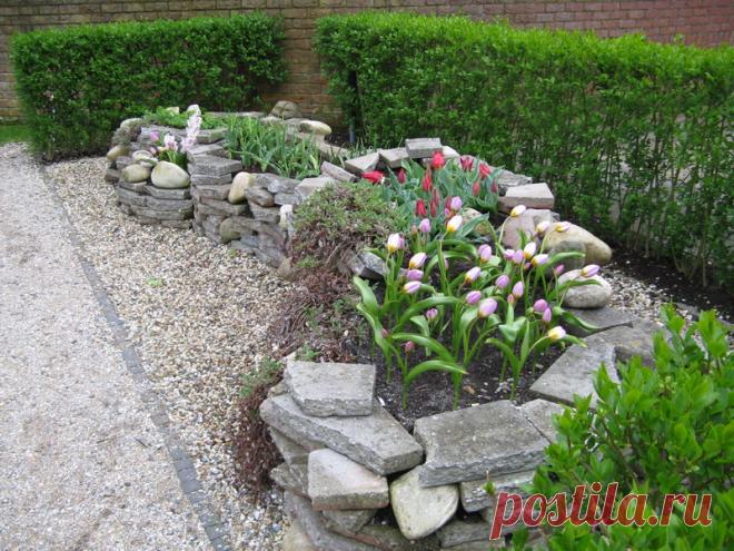 Парк тюльпанов Кёкенхоф, фотоотчет. - Садоводка