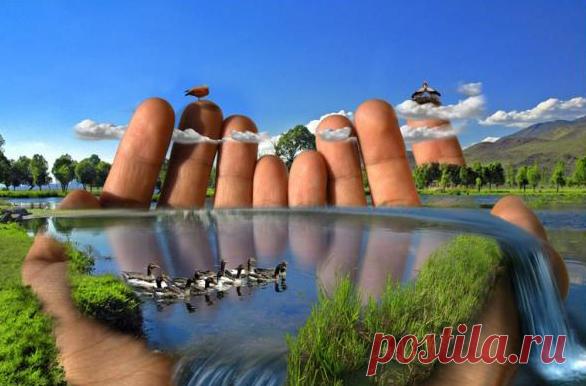 Фото:Красота лесных озёр!